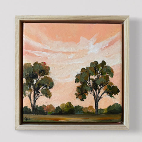 SOLD Apricot Sunset (23 x 23cm) From the Paintshed