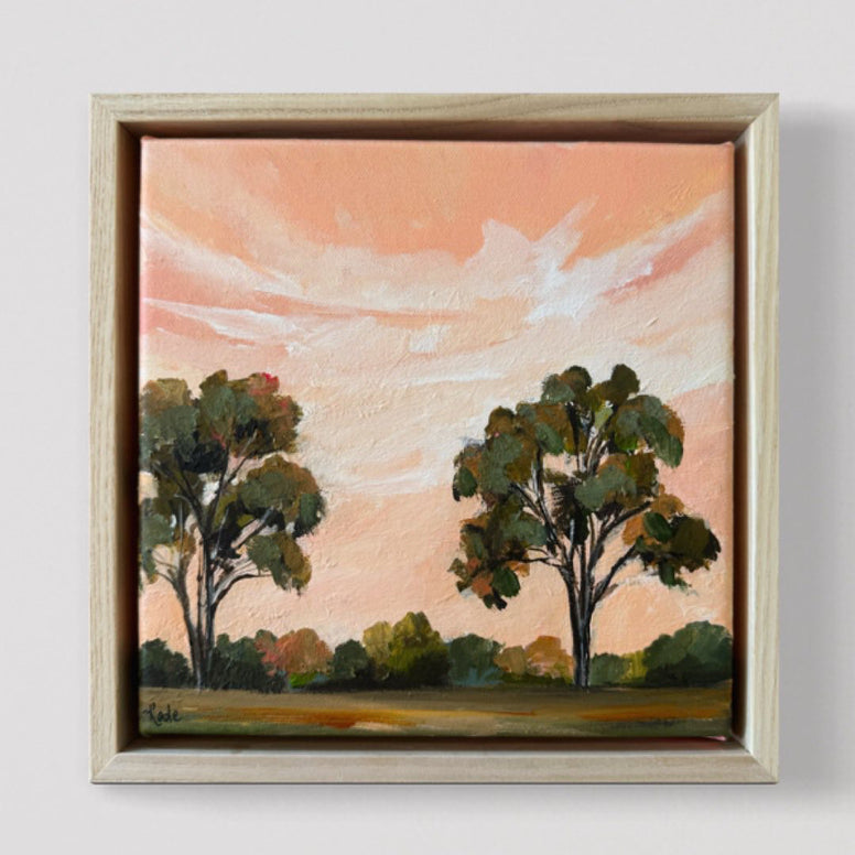 SOLD Apricot Sunset (23 x 23cm) From the Paintshed