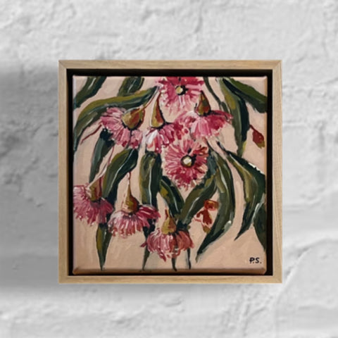 SOLD Gum Blossoms (23x23cm) Paula Starrs