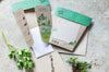 Sow 'n Sow Garden Herbs Gift of Seeds