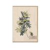 Typoflora - Wattles Portrait Card