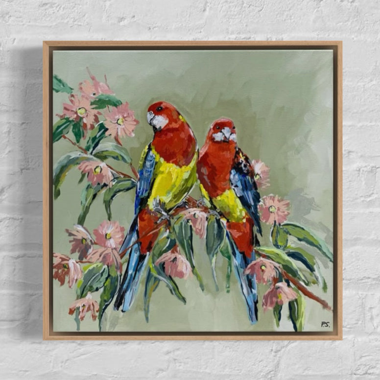 Eastern Rosellas (43x43cm) Paula Starrs