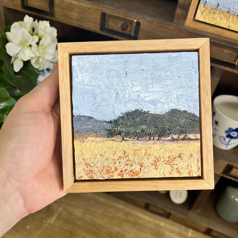 Glance (12x12cm) Shay Pappas