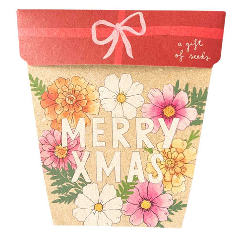 Sow 'n Sow - Xmas Blooms Gift of Seeds (Australia Only)