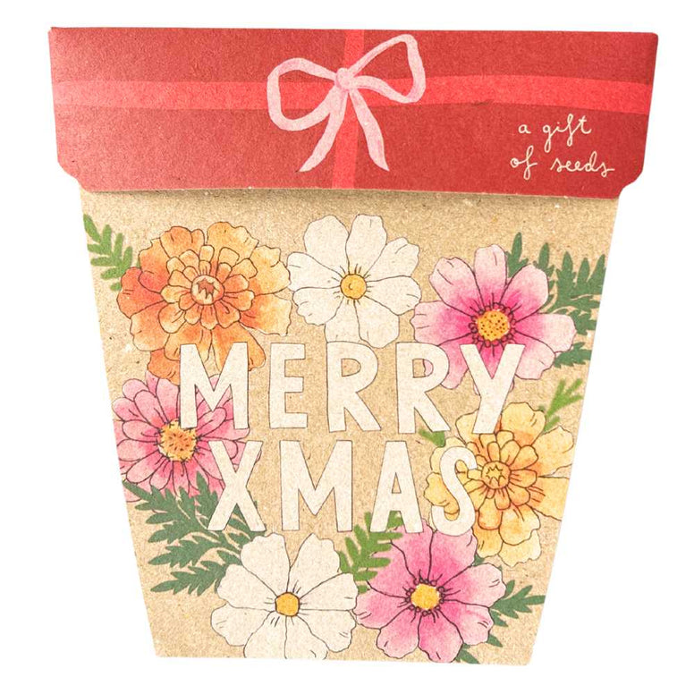 Sow 'n Sow - Xmas Blooms Gift of Seeds (Australia Only)