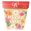 Sow 'n Sow - Xmas Blooms Gift of Seeds (Australia Only)