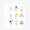 emily lex studio - Garden flowers notecards