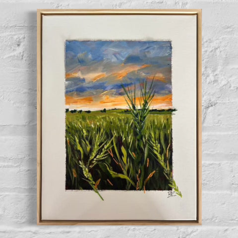 Sunset Wheatfield (42x32cm) Rachel Knoester
