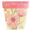 Sow 'n Sow - Blooming Beautiful Gift of Seeds