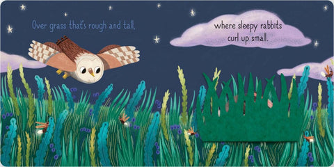 Touch-and-Feel Flaps: Sweet Dreams