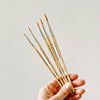 Watercolour Paintbrush S/5 Wood Brushes