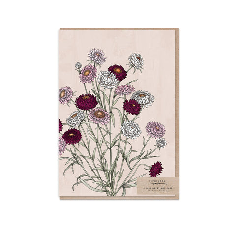 Typoflora - Strawflowers Portrait Card