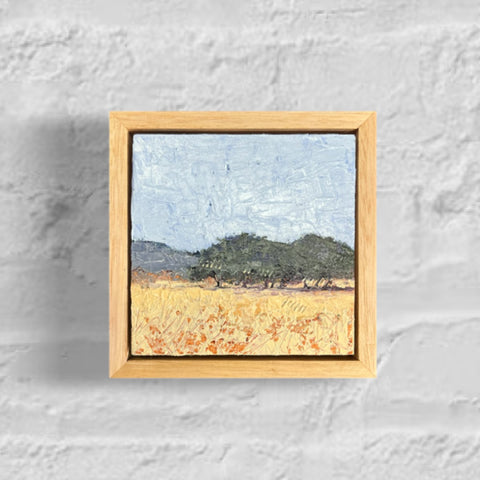 Glance (12x12cm) Shay Pappas