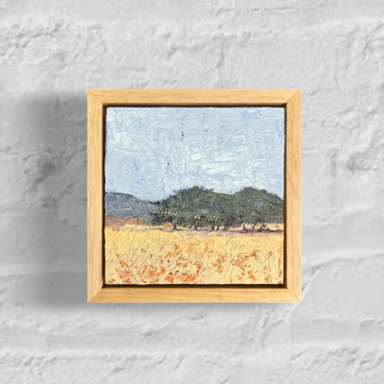 Glance (12x12cm) Shay Pappas