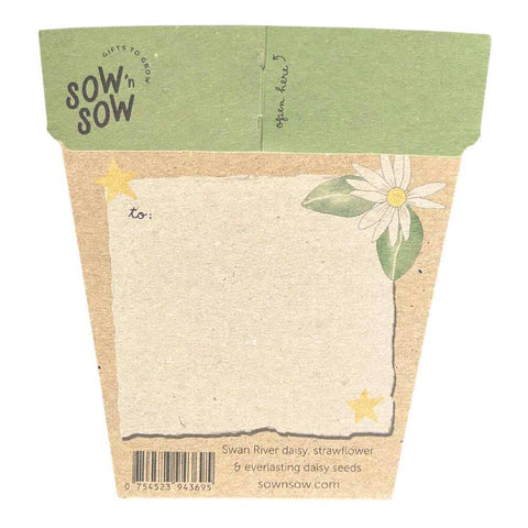 Sow 'n Sow - Christmas Native Daisies Gift of Seeds (Australia Only)