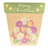 Sow 'n Sow - Christmas Native Daisies Gift of Seeds (Australia Only)