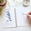 PRE ORDER emily lex studio - Birds watercolor workbook