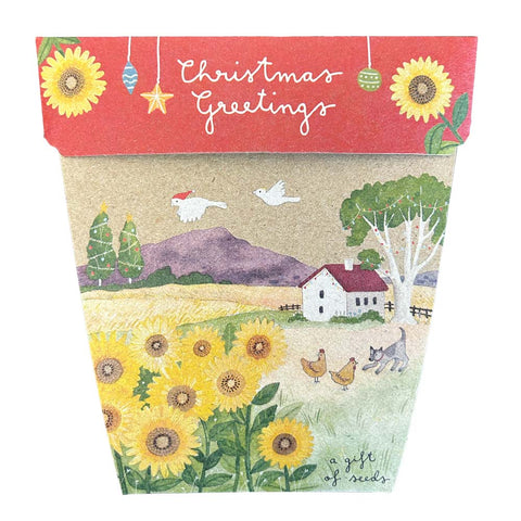 Sow 'n Sow Christmas Sunflower Gift of Seeds