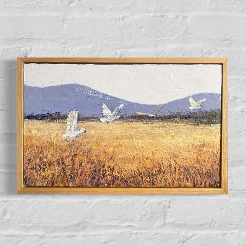 Taking Flight (27.5x42.5cm) Shay Pappas