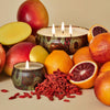 VOLUSPA Goji Tarocco Orange Room Spray