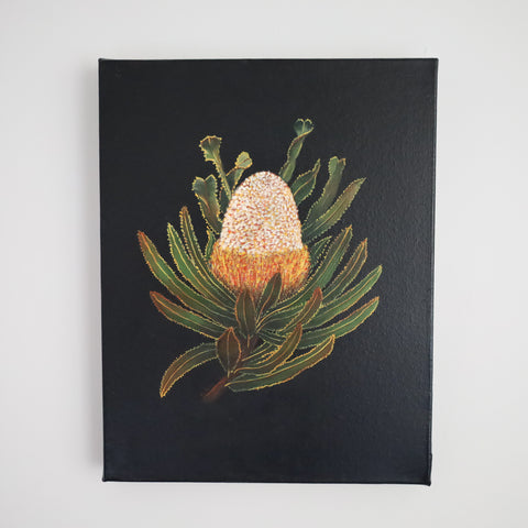 Banksia (35 x 28cm) Margaret Persse