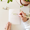 emily lex studio - Potted plants paintable notecards