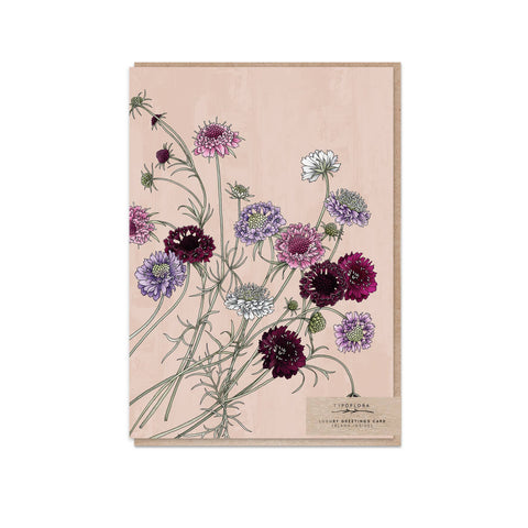Typoflora - Pincushion Flowers Portrait Card