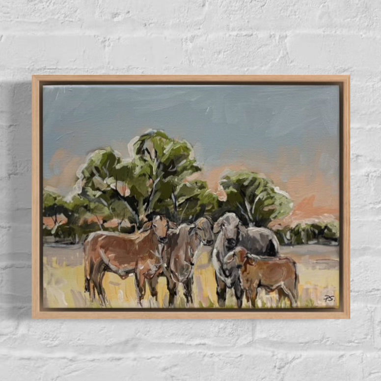 Brahman Sunsets (33x43cm) Paula Starrs