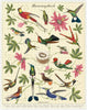 Hummingbird - 1000 Pc Puzzle