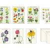 Cavallini Stationery Set – Wildflowers