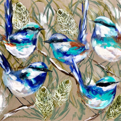Blue Wrens Hardback Coasters S/4