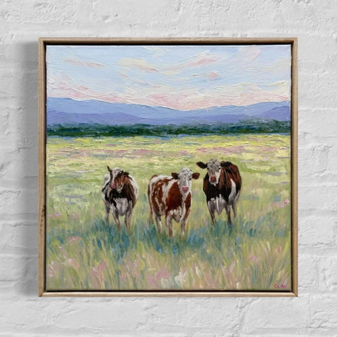 SOLD How Now (43x43cm) Charlotte Moore