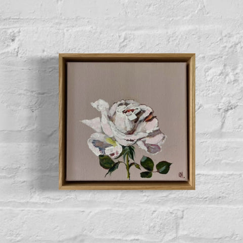 Birthflower Series | Rose | June (23x23cm) Roslyn Mary