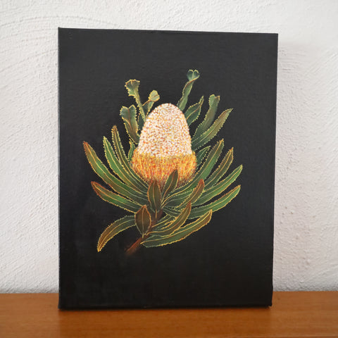 Banksia (35 x 28cm) Margaret Persse