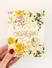 Thank you Greeting Card Boxset - Ranunculus Study - 6 Pack