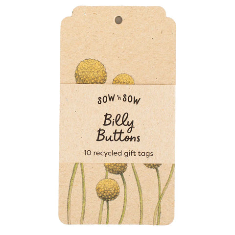 Billy Buttons Gift Tag – 10 Pack