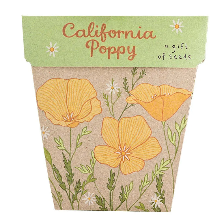Sow 'n Sow California Poppy Gift of Seeds
