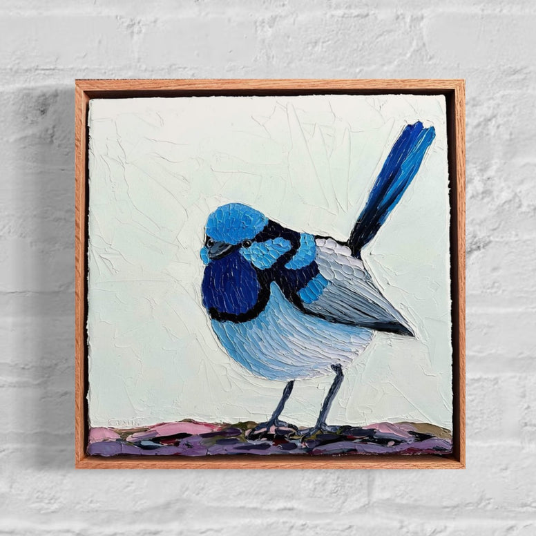 Fluffy Wren (33x 33cm) Cassie Holmes