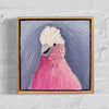 Gleeful Galah (28x 28cm) Cassie Holmes