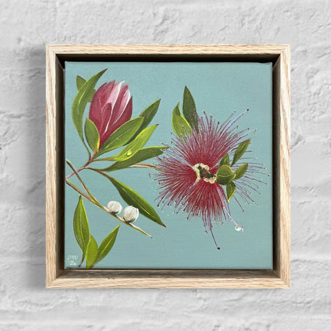 Mountain Bottlebrush (23.5x23.5cm) Jen White