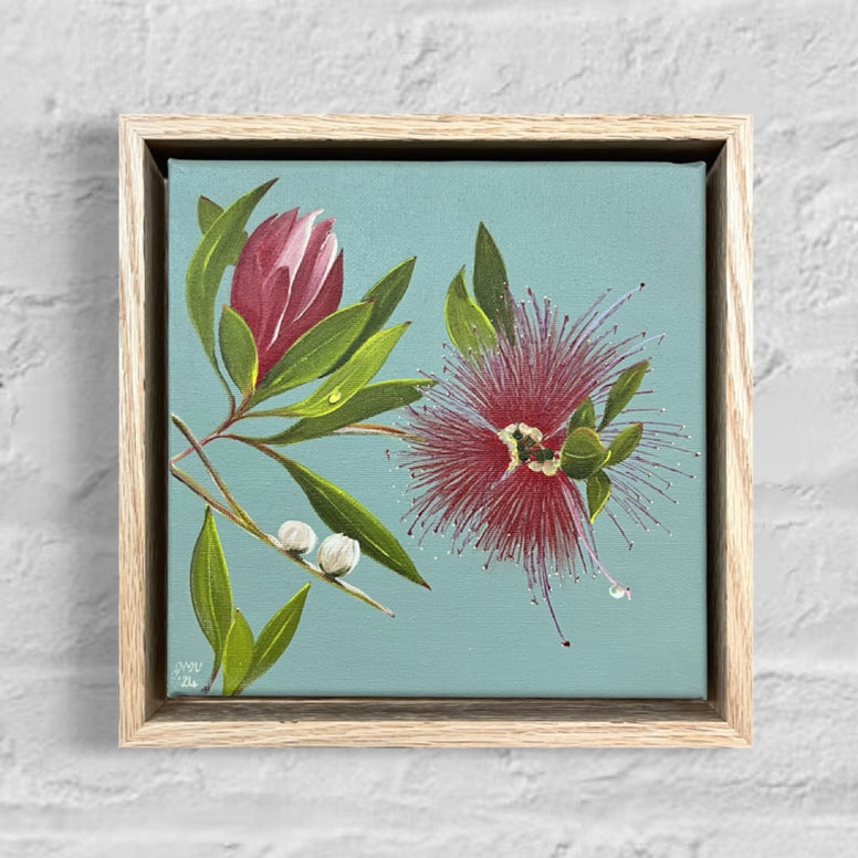 Mountain Bottlebrush (23.5x23.5cm) Jen White