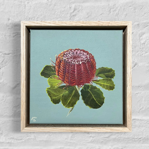 Scarlett Banksia (23.5x23.5cm) Jen White