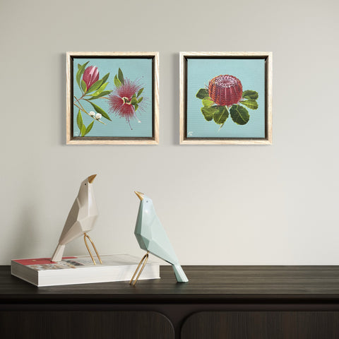 Mountain Bottlebrush (23.5x23.5cm) Jen White