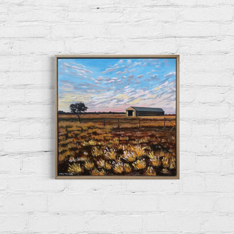 The Shearing Shed (53x53cm) - Big Sky Country
