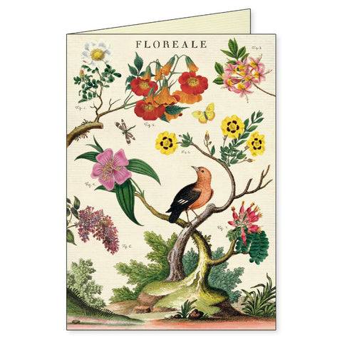 Cavallini Boxed Notecards – Floreale