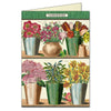 Cavallini Boxed Notecards – Gardening