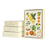 Cavallini Boxed Notecards – Jardin