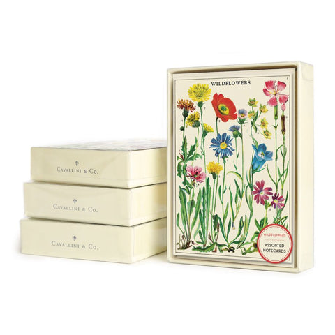 Cavallini Boxed Notecards – Wildflowers