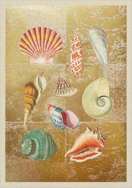 Foil Card - Shell Collection – giftsatteacup