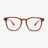 BLUE-LIGHT BLOCKING LENSES - POLISHED TORTOISESHELL